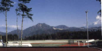 ���O���j��ɐݒu���ꂽ�R���i�[�� 